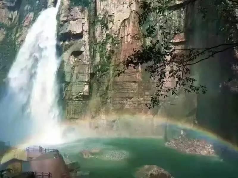 湖南初雪从朋友圈“飘”进现实 公园企鹅出门“撒欢”